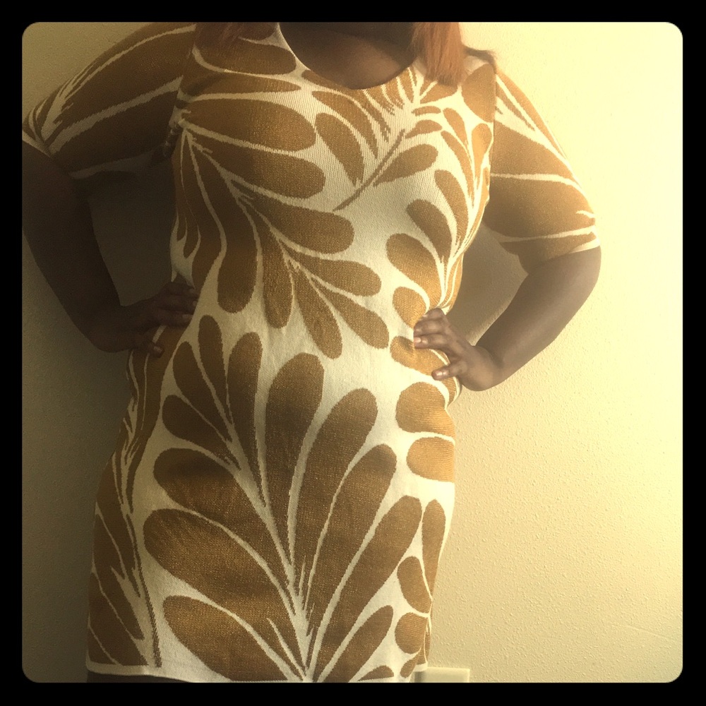 Ann Taylor Sweater Dress